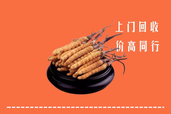 高价求购：华亭市回收散虫草