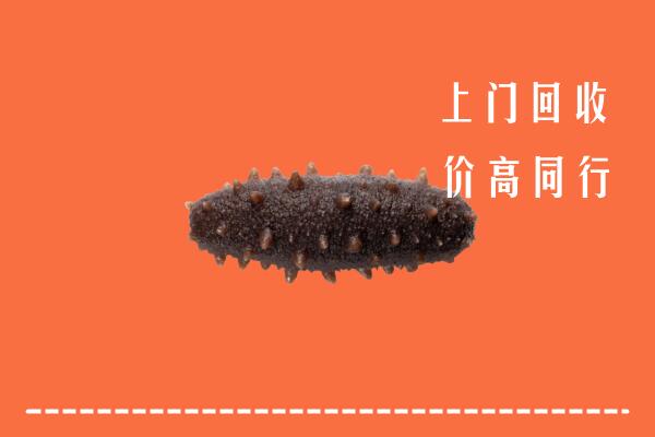 高价求购：华亭市回收海参