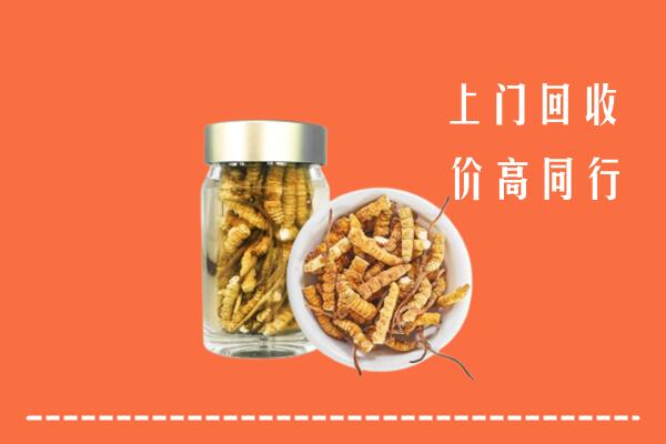 华亭市回收冬虫夏草